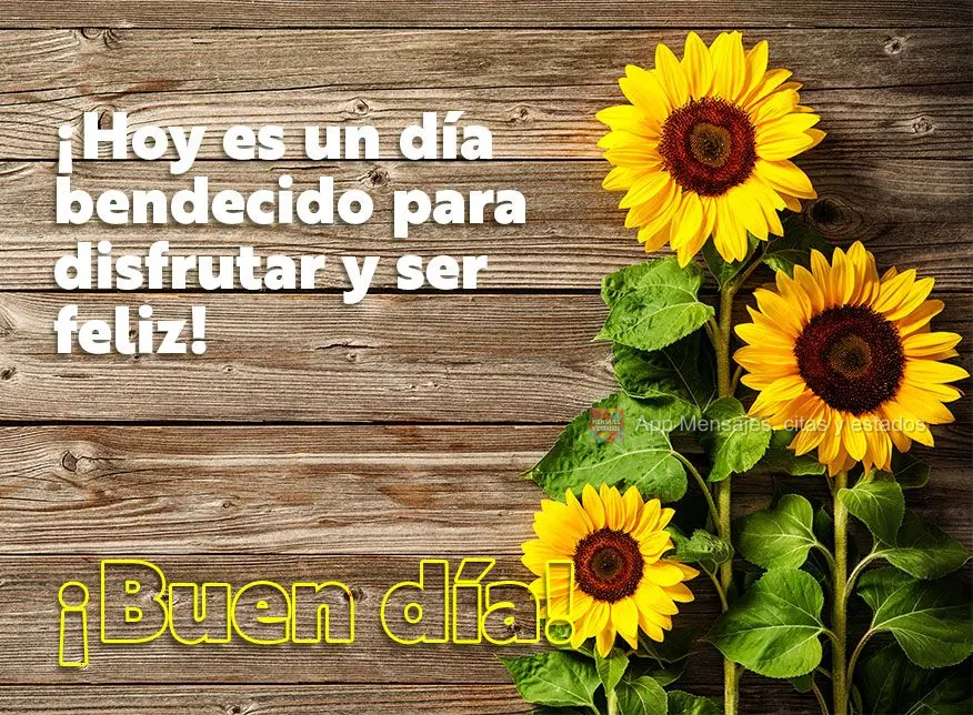 ¡Hoy es un día bendecido para disfrutar y ser feliz! ¡Buen día!