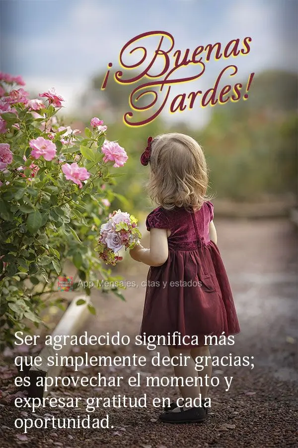 Ser grato significa mais do que simplesmente agradecer; é aproveitar o momento e expressar gratidão em todas as oportunidades. boa tarde!