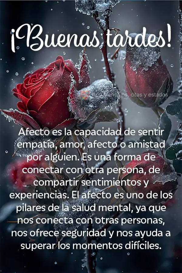 Afeto é a capacidade de sentir empatia, amor, carinho ou amizade por alguém. É uma forma de se conectar com outra pessoa, de compartilhar sentimentos ...
