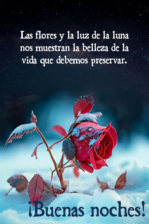 As flores e o luar nos mostram a beleza da vida que devemos preservar. Boa noite! 