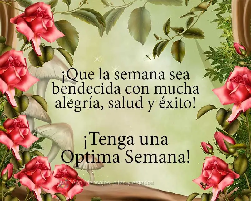 Que a semana seja abençoada com muita alegria, saúde e sucesso!  Tenha uma ótima semana!
