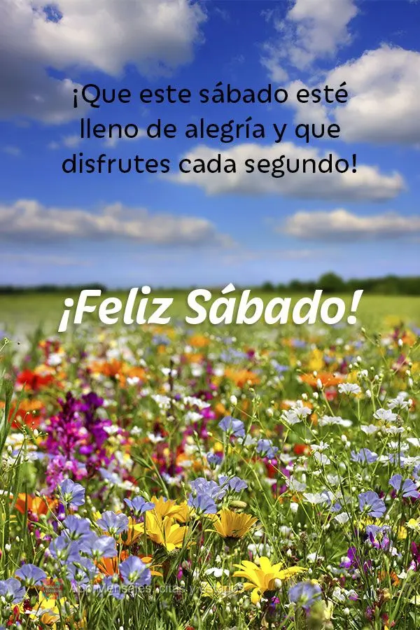 ¡Que este sábado esté lleno de alegría y que disfrutes cada segundo! ¡Feliz Sábado!