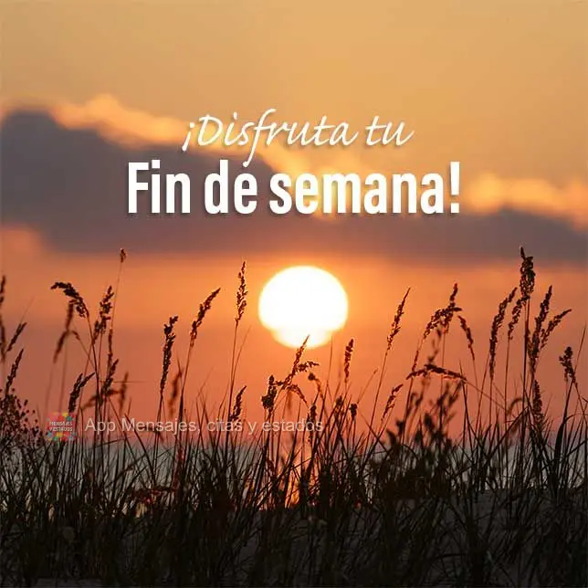 ¡Disfruta tu fin de semana!