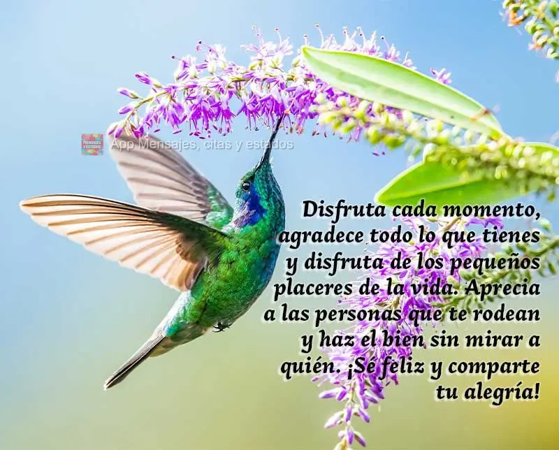 Disfruta cada momento, agradece todo lo que tienes y disfruta de los pequeños placeres de la vida. Aprecia a las personas que te rodean y haz el bien si...