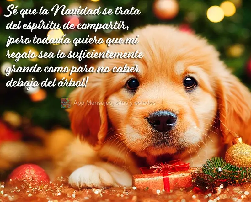 Sé que la Navidad se trata del espíritu de compartir, ¡pero todavía quiero que mi regalo sea lo suficientemente grande como para no caber debajo del ...