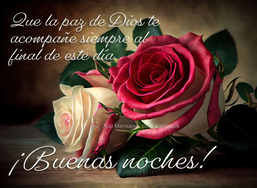 Que a paz de Deus esteja sempre contigo no fim deste dia. Boa noite!