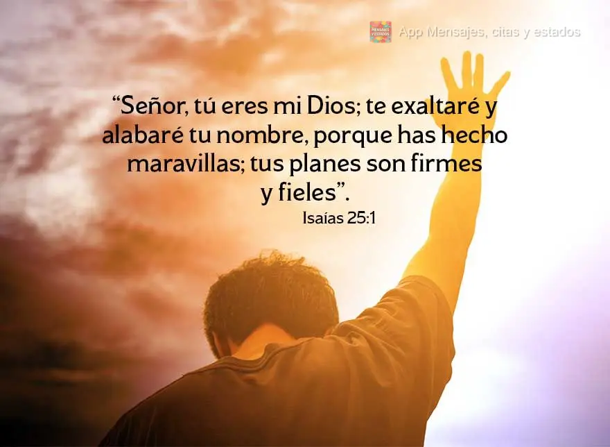 “Señor, tú eres mi Dios; te exaltaré y alabaré tu nombre, porque has hecho maravillas; tus planes son firmes y fieles”. Isaías 25:1