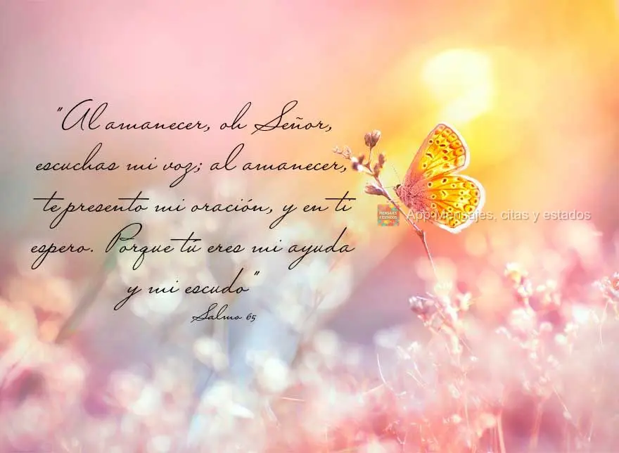"Al amanecer, oh Señor, escuchas mi voz; al amanecer, te presento mi oración, y en ti espero. Porque tú eres mi ayuda y mi escudo" Salmo 65