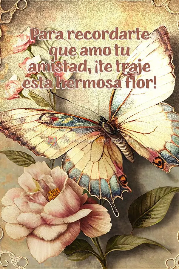 Para recordarte que amo tu amistad, ¡te traje esta hermosa flor!
