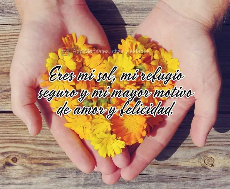 Eres mi sol, mi refugio seguro y mi mayor motivo de amor y felicidad. 