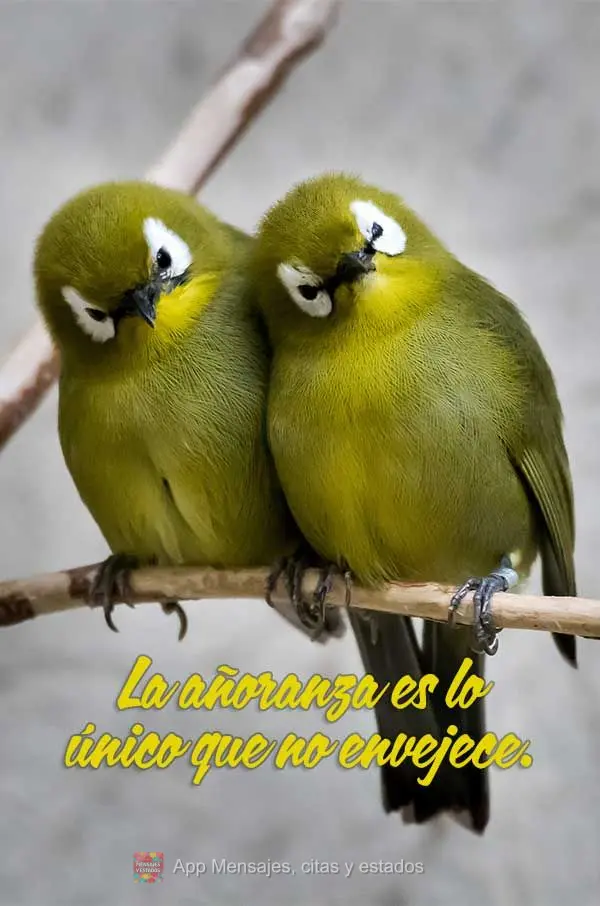 La añoranza es lo único que no envejece.