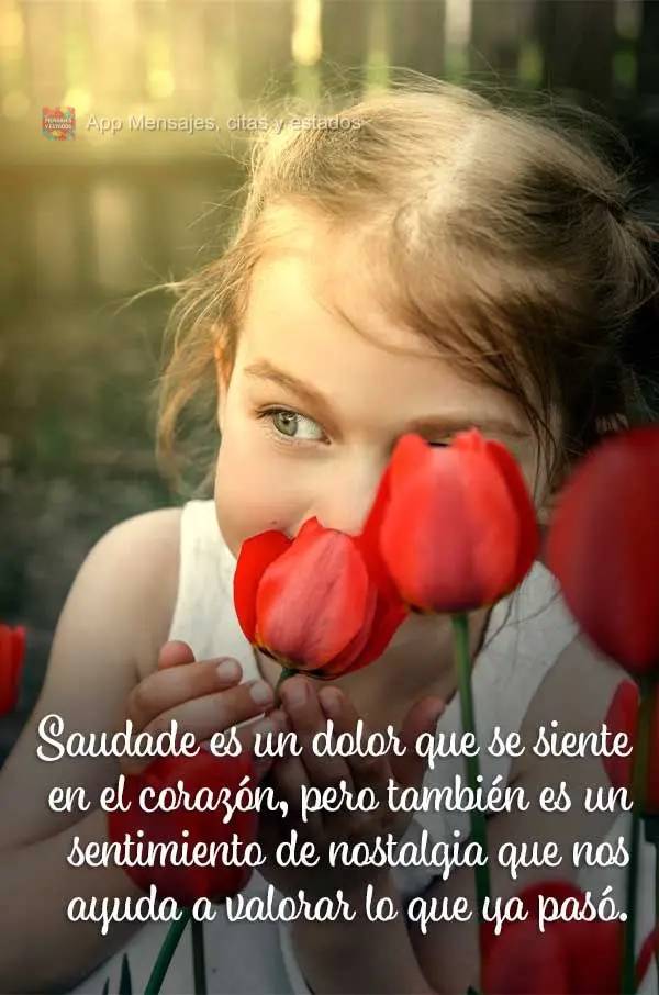 Saudade é uma dor que se sente no coração, mas também é um sentimento de nostalgia que nos ajuda a valorizar aquilo que já passou.