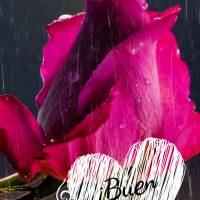 Aprecie os pequenos detalhes e seja grato por eles. Bom dia!