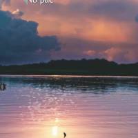 Você não pode comprar a felicidade, mas você pode investir seu tempo e energia em construí-la. Boa tarde!