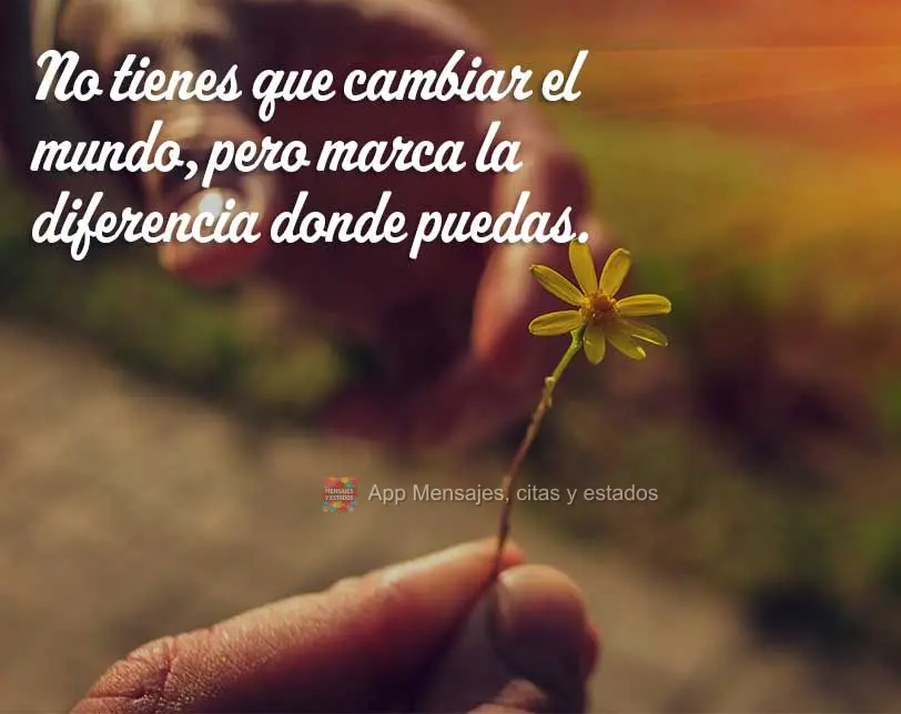 Você não precisa mudar o mundo, mas faça a diferença onde puder.