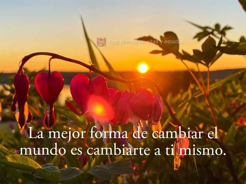 La mejor forma de cambiar el mundo es cambiarte a ti mismo.