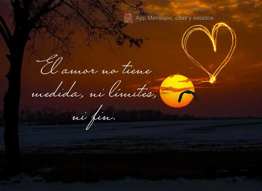 O amor não tem medida, não tem limites, não tem fim.