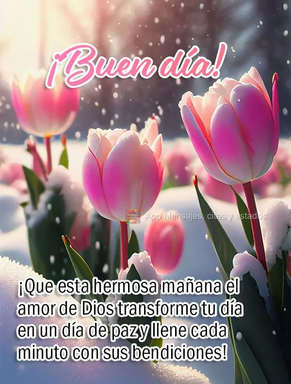 ¡Que esta hermosa mañana el amor de Dios transforme tu día en un día de paz y llene cada minuto con sus bendiciones! ¡Buen día!