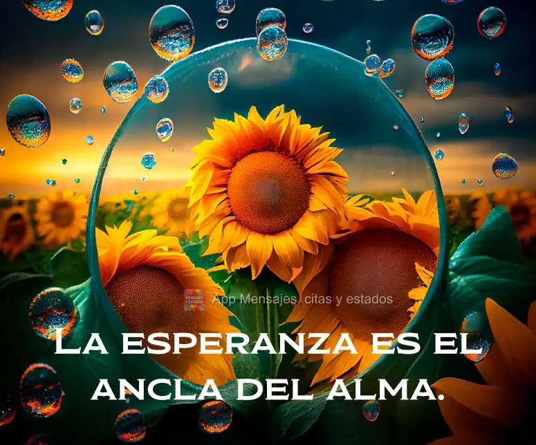 La esperanza es el ancla del alma.