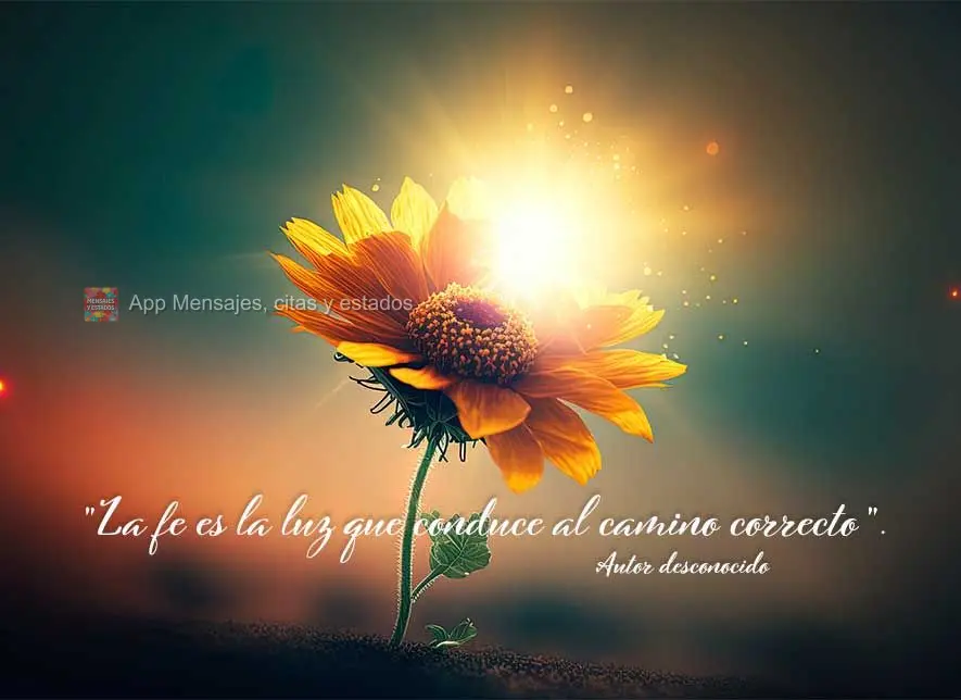 "A fé é a luz que leva ao caminho certo." Autor Desconhecido