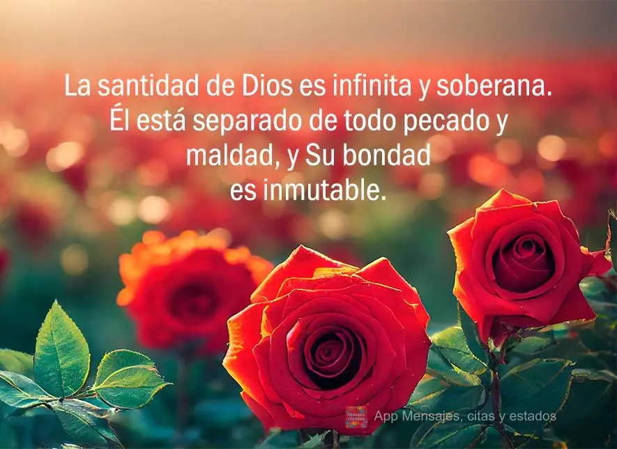 A santidade de Deus é infinita e soberana. Ele é separado de todos os pecados e mal, e Sua bondade é imutável.