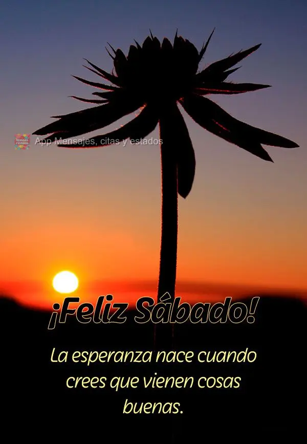 La esperanza nace cuando crees que vienen cosas buenas. ¡Feliz Sábado!