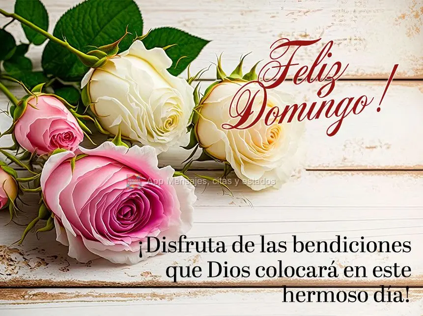¡Disfruta de las bendiciones que Dios colocará en este hermoso día! Feliz Domingo!