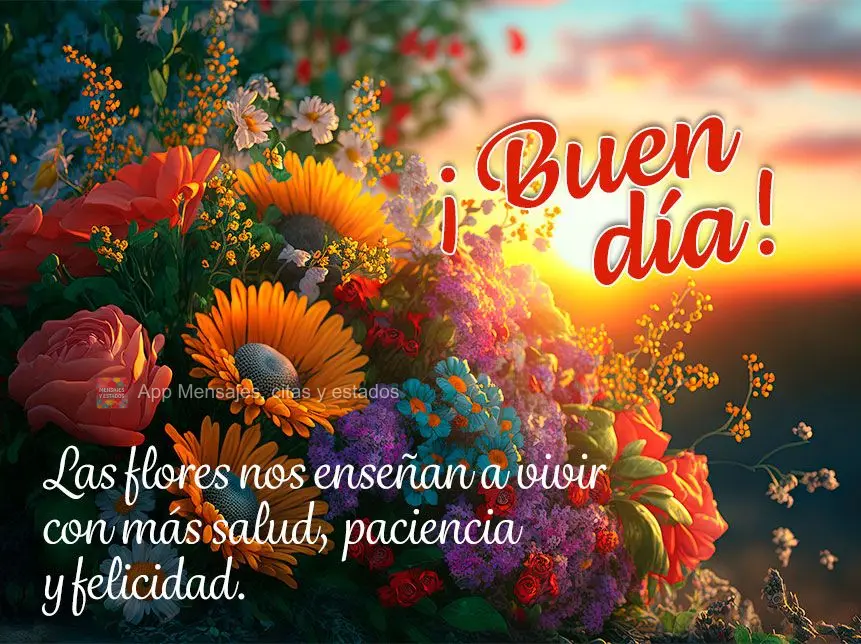 As flores nos ensinam a viver de modo mais saudável, paciente e feliz. Bom dia!