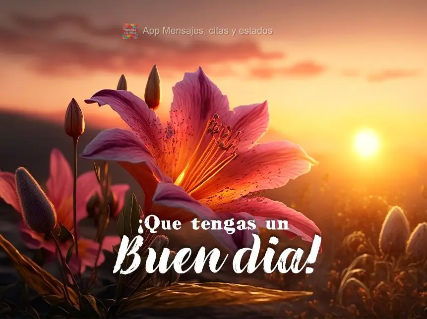 ¡Que tengas un buen dia!