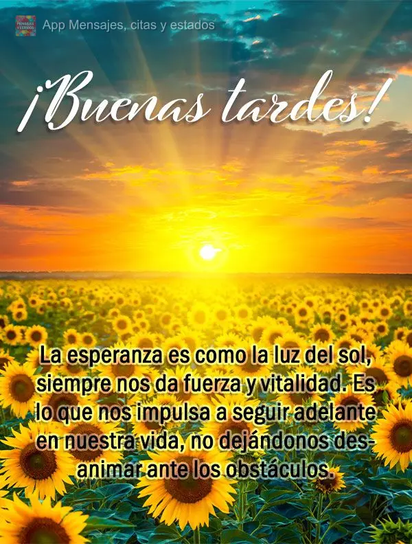 A esperança é como a luz do sol, ela sempre nos dá força e vitalidade. É o que nos impulsiona a avançar em nossas vidas, não nos deixando desanima...