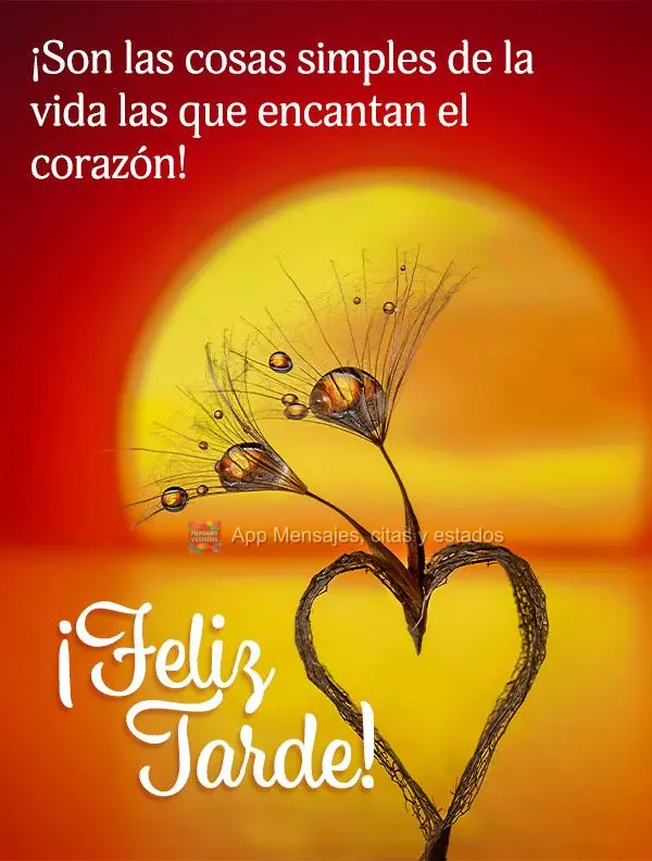 São as coisas simples da vida que encantam o coração! Feliz tarde!