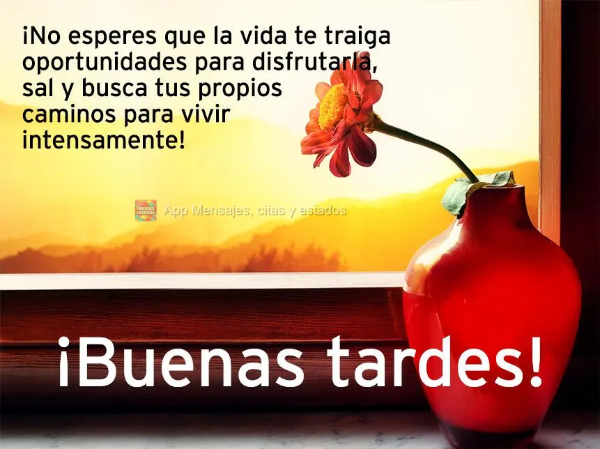 ¡No esperes que la vida te traiga oportunidades para disfrutarla, sal y busca tus propios caminos para vivir intensamente! ¡Buenas tardes!