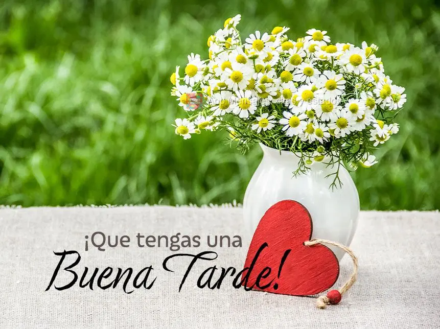 ¡Que tengas una buena tarde!