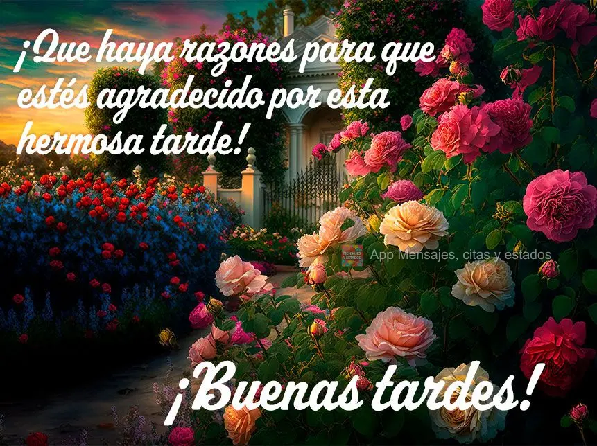 ¡Que haya razones para que estés agradecido por esta hermosa tarde! ¡Buenas tardes!