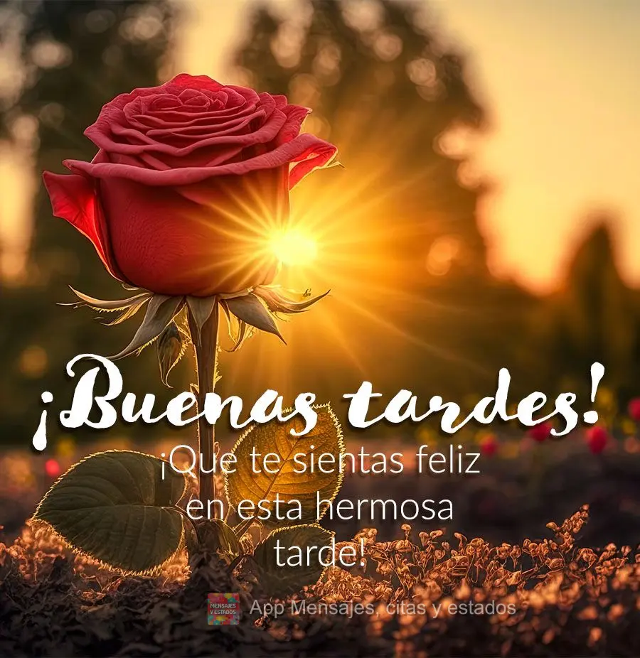 Que você se sinta feliz nesta linda tarde! Boa tarde! 