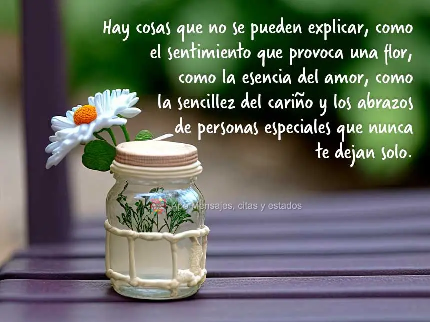 Hay cosas que no se pueden explicar, como el sentimiento que provoca una flor, como la esencia del amor, como la sencillez del cariño y los abrazos de p...