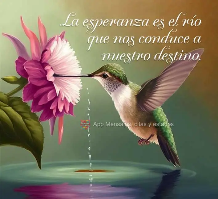 A esperança é o rio que nos conduz ao nosso destino.