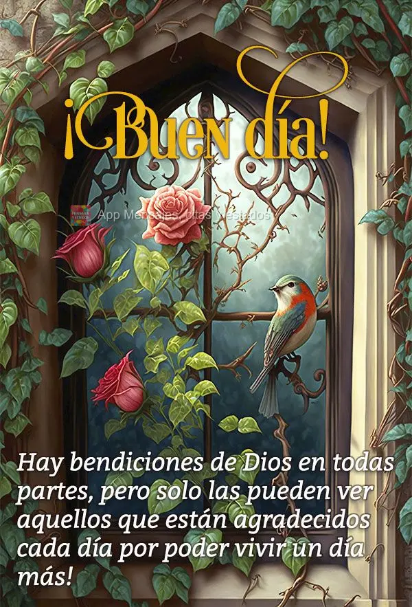 Hay bendiciones de Dios en todas partes, pero solo las pueden ver aquellos que están agradecidos cada día por poder vivir un día más! ¡Buen día!