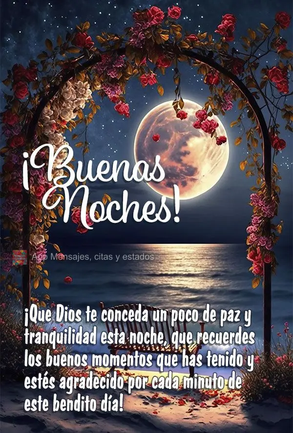 ¡Que Dios te conceda un poco de paz y tranquilidad esta noche, que recuerdes los buenos momentos que has tenido y estés agradecido por cada minuto de e...