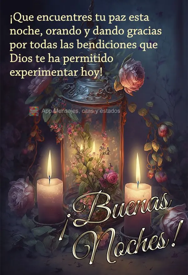 Que você possa encontrar a sua paz nesta noite, orando e agradecendo por todas as bênçãos que Deus permitiu você viver no dia de hoje! Boa noite!