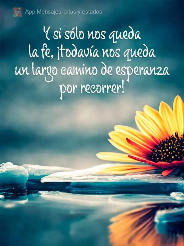 Y si sólo nos queda la fe, ¡todavía nos queda un largo camino de esperanza por recorrer!