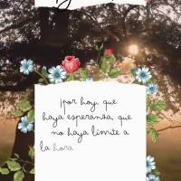 Para hoje que haja esperança, que não se limite quando se trata de sonhar e que possamos caminhar sempre otimista aproveitando a jornada da vida! Bom d...