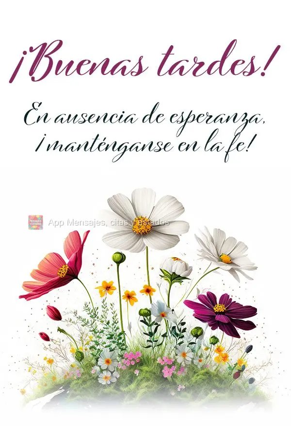 Na falta de esperança, mantenha-se na fé! Boa tarde!