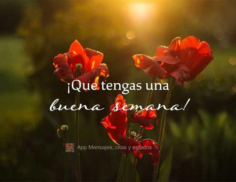 Tenha uma excelente semana!