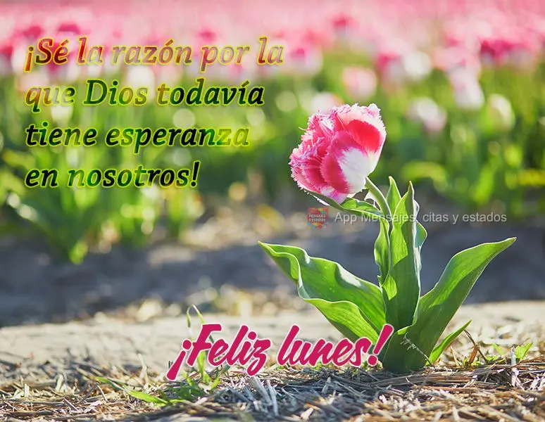 ¡Sé la razón por la que Dios todavía tiene esperanza en nosotros! ¡Feliz lunes!