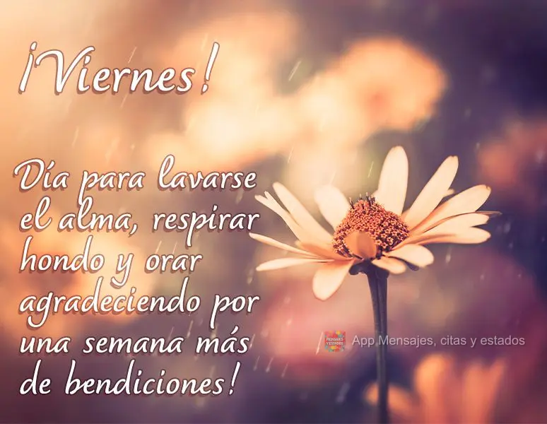 Dia de lavar a alma, respirar fundo e orar agradecendo por mais uma semana de bênçãos! Sexta-feira! 