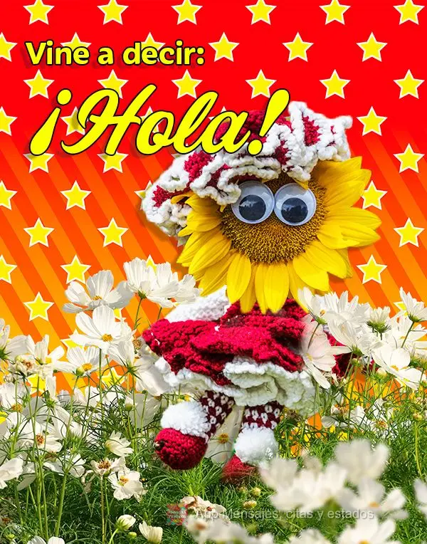 Vine a decir: ¡Hola!