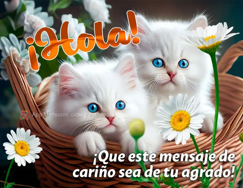 ¡Hola! ¡Que este mensaje de cariño sea de tu agrado!