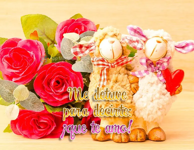 Me detuve para decirte: ¡que te amo!