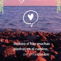 Mesmo que no caminho haja muitas pedras, não permita que os obstáculos tire a sua vontade de ver o lado bom da vida! Quinta-feira!